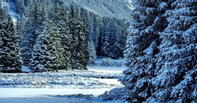 Синоптик с предупреждение за 4 и 7 януари 2025