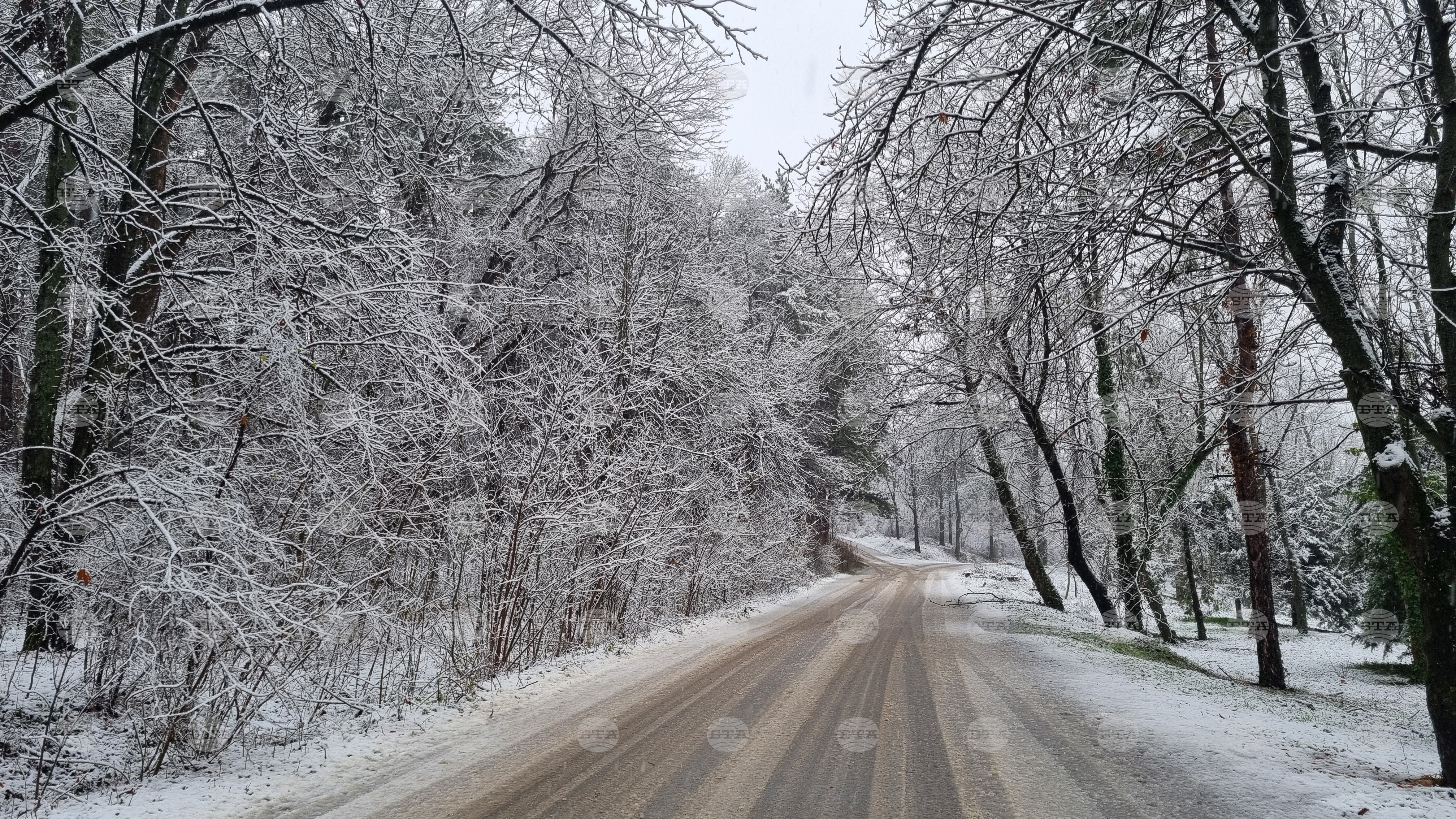 Roads in vitosha roads in vitosha nature park to be closed january 10 11 over expected snowfall 2026 2026 world news from bulgaria balgarianovinite. Com balgarianovinite. Com roads in vitosha nature park leading from sofia's dragalevtsi borough to aleko hut and from... Roads in vitosha nature park to be closed january 10-11 over expected snowfall 2026 balgarianovinite. Com 2026-01-09 11:47:52 roads in vitosha roads in vitosha nature park to be closed january 10-11 over expected snowfall 2026 investigative journalism and investigative reporting news agency burgas bulgaria