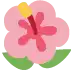 🌺