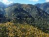 Bulgaria Lacks Up-to-Date Forest Strategy, Risks EU Commitments, Economic and Social Council Warns 2026 Bulgaria Lacks Up-to-Date Forest Strategy, Risks EU Commitments, Economic and Social Council Warns 2026