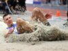 Bulgaria Wins Three Gold, Two Silver Medals at Balkan Indoor Athletics Championships 2026 Bulgaria Wins Three Gold, Two Silver Medals at Balkan Indoor Athletics Championships 2026
