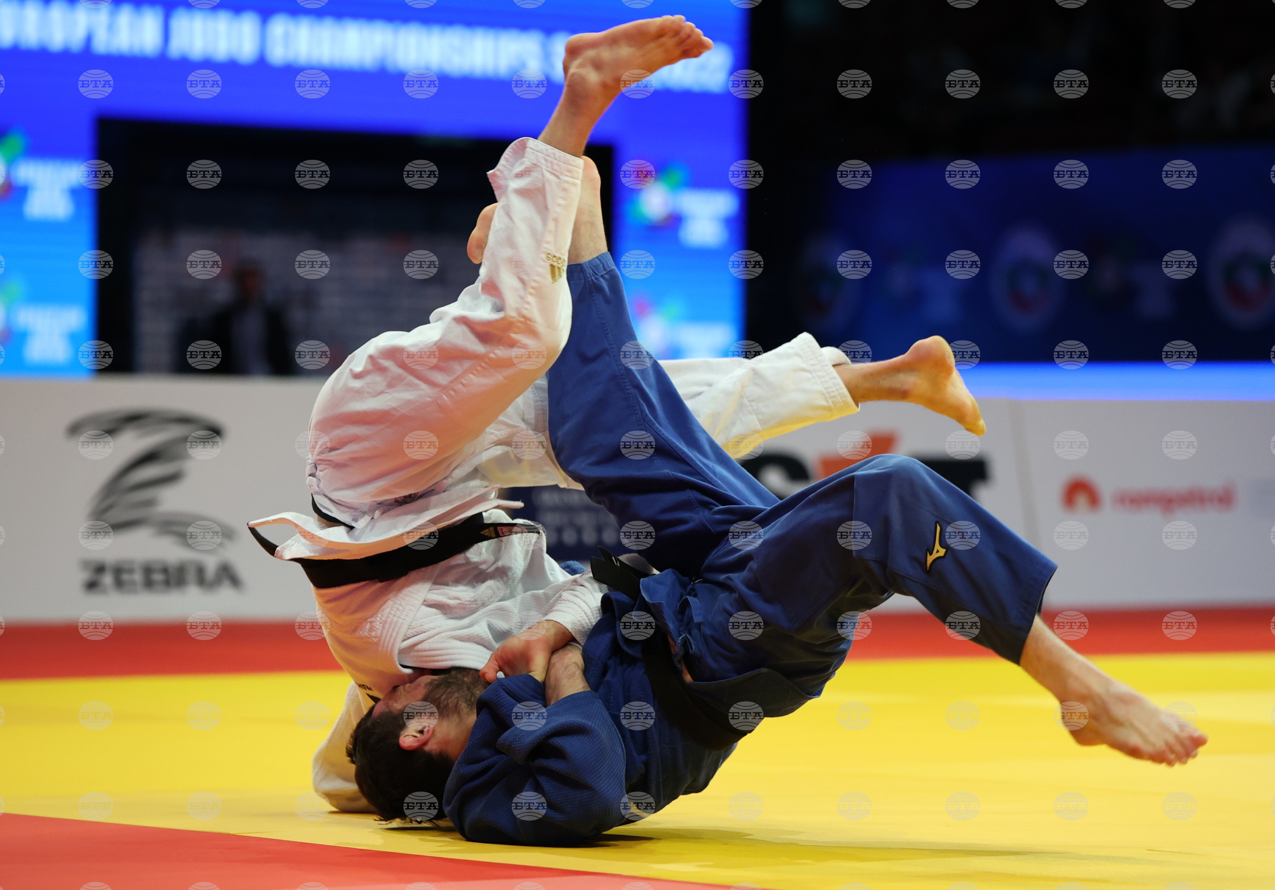Bulgarian judokas win four medals on opening day of sofia european open 2026 2026 | sofia european open 2026 world news from bulgaria - balgarianovinite. Com Sofia european open bulgarian judokas win four medals on opening day of sofia european open 2026 2026 2026 world news from bulgaria balgarianovinite. Com balgarianovinite. Com bulgarian judokas won four medals, one gold, one silver, and two bronze, on the opening day of... Bulgarian judokas win four medals on opening day of sofia european open 2026 2026 balgarianovinite. Com 2026-02-01 10:00:15 sofia european open bulgarian judokas win four medals on opening day of sofia european open 2026 2026 investigative journalism and investigative reporting news agency burgas bulgaria