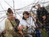 Bulgarian Wineries Made 66 Mln Liters of Wine in 2025 2026 Bulgarian Wineries Made 66 Mln Liters of Wine in 2025 2026