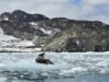 Final Group of 34th Bulgarian Antarctic Expedition Arrives on Livingston Island 2026 Final Group of 34th Bulgarian Antarctic Expedition Arrives on Livingston Island 2026