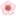 🌸