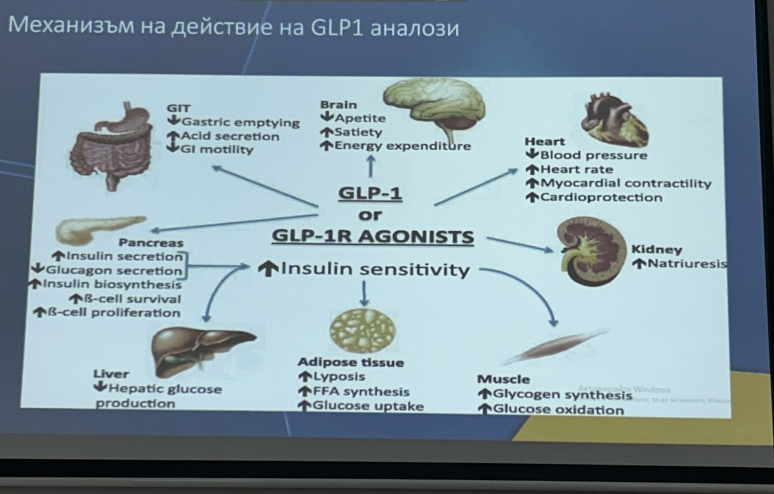 Мбал д-р иван preddiabet insulinova rezistentnost tema obuch 2 2026 новините от българия в мбал „д-р иван  селимински-сливен” се проведе обучение на тема: „преддиабет и инсулинова резистентност: как... Преддиабет и инсулинова резистентност – тема на обучение в мбал „д-р иван селимински-сливен“ 2026 българия новините balgarianovinite. Com 2026-02-26 09:35:56 мбал д-р иван преддиабет и инсулинова резистентност – тема на обучение в мбал „д-р иван селимински-сливен“ 2026 информационна агенция за разследваща журналистика и разследващ репортаж бургас, българия