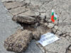 Protests Held Across Bulgaria over Road Conditions, Traffic Fatalities 2026 Protests Held Across Bulgaria over Road Conditions, Traffic Fatalities 2026