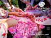 Tourism Ministry Supports Bulgaria’s Bid to Inscribe Rose Valley on UNESCO’s Intangible Cultural Heritage List 2026 Tourism Ministry Supports Bulgaria’s Bid to Inscribe Rose Valley on UNESCO’s Intangible Cultural Heritage List 2026