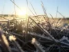 Времето днес, прогноза за вторник, 24 февруари: Облачно. От северозапад на югоизток на много места ще превали дъжд 2026 Времето днес, прогноза за вторник, 24 февруари: Облачно. От северозапад на югоизток на много места ще превали дъжд 2026