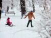 Yellow Code Issued for Low Temperatures and Significant Snowfall across Most of Bulgaria 2026 Yellow Code Issued for Low Temperatures and Significant Snowfall across Most of Bulgaria 2026