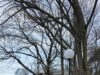 Безопасността на първо място: Нов парапет бе монтиран на ключов мост в Карлово 2026 Безопасността на първо място: Нов парапет бе монтиран на ключов мост в Карлово 2026
