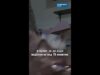 Видео: Жена от Бейрут евакуира над 30 котки от бомбардировките #novinitenanova #бейрут #котка #котки #жена Видео: Жена от Бейрут евакуира над 30 котки от бомбардировките #novinitenanova #бейрут #котка #котки #жена