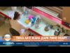Видео: Пила ли е Жана д’Арк пино ноар? Семки и резници ни водят към древността на гроздето 2026 Видео: Пила ли е Жана д'Арк пино ноар? Семки и резници ни водят към древността на гроздето 2026