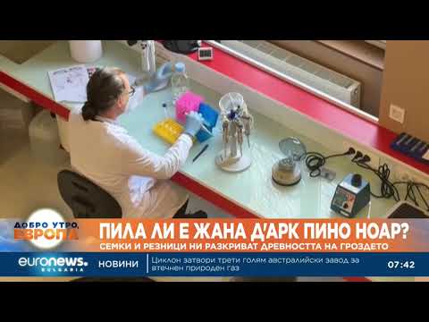 Видео: Пила ли е Жана д'Арк пино ноар? Семки и резници ни водят към древността на гроздето 2026