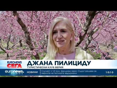 Видео: Полета от праскови привличат туристи в Гърция 2026