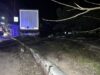 Рецидивист зад волана 2026 Рецидивист зад волана 2026