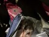 Митничарите на Капитан Андреево откриха 220 000 евро скрити под шоколадови изделия/видео/ 2026 Митничарите на Капитан Андреево откриха 220 000 евро скрити под шоколадови изделия/видео/ 2026
