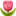 🌷
