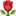 🌹