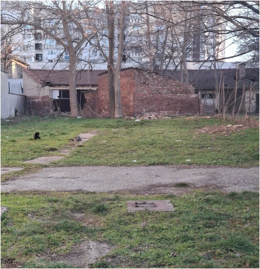 Savetnik gerb pita kmeta obshtina ruse dve nei 1 2026 новините от българия доктор росица кръстева сигнализира за липсата на адекватни действия по сериозни проблеми за здравето и живота на... Съветник от пп герб пита кмета на община русе за две неизпълнени решения: относно опасните сгради в русе и гривните за хора с деменция 2026 българия новините balgarianovinite. Com 2026-03-24 12:27:28 съветник от пп герб пита кмета на община русе за две неизпълнени решения: относно опасните сгради в русе и гривните за хора с деменция 2026 информационна агенция за разследваща журналистика и разследващ репортаж бургас, българия