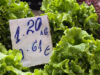 System for Agricultural Market Information Reports Market Balance after Early-Month Seasonal Price Rise 2026 System for Agricultural Market Information Reports Market Balance after Early-Month Seasonal Price Rise 2026