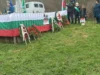 Трети март в Баниска 2026 Трети март в Баниска 2026