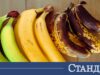 Три бързи трика да накараме банана да узрее 2026 Три бързи трика да накараме банана да узрее 2026