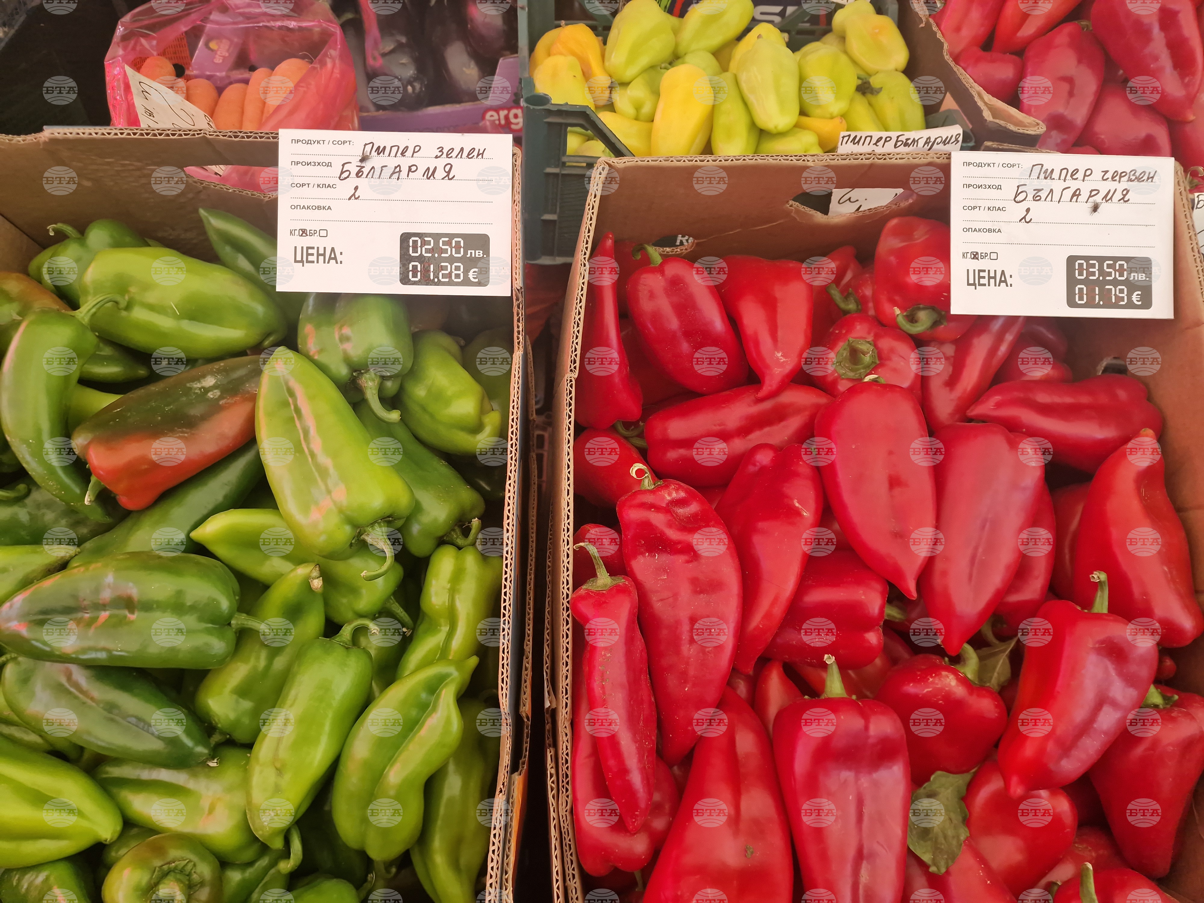 Vegetable prices fruit prices drop past week 2 2026 world news from bulgaria balgarianovinite. Com the prices of most vegetables have gone up over the past week, according to the weekly bulletin... Vegetable prices go up, fruit prices drop in past week 2026 българия новините balgarianovinite. Com 2026-03-29 07:31:00 vegetable prices go up, fruit prices drop in past week 2026 investigative journalism and investigative reporting news agency burgas bulgaria