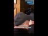 Видео: Делото „Хасърджиев“: Блудство с непълнолетни, наркотици, порнографски материали #novinitenanova #съд Видео: Делото „Хасърджиев“: Блудство с непълнолетни, наркотици, порнографски материали #novinitenanova #съд