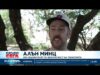 Видео: Горска терапия намалява стреса и високото кръвно 2026 Видео: Горска терапия намалява стреса и високото кръвно 2026