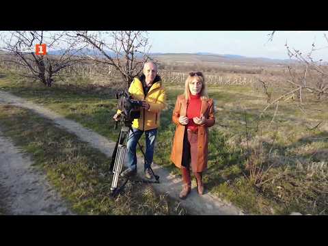 Видео: истории за ферма за магарета, оранжерия и смесено стопанство, "бразди" 21. 03. 2026 2026 | 2026 новините от българия - bulgarianovinite. Com Video istorii ferma magareta oranzheriya smese 2026 новините от българия видео: https://www. Youtube. Com/watch? V=s6zwkccx8ew
гледайте предаването на българската национална телевизия... Iustitia. Bg видео: истории за ферма за магарета, оранжерия и смесено стопанство, "бразди" 21. 03. 2026 2026 2026-03-21 12:19:33 видео: истории за ферма за магарета, оранжерия и смесено стопанство, "бразди" 21. 03. 2026 2026 информационна агенция за разследваща журналистика и разследващ репортаж бургас, българия