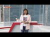 Видео: Как е възможно да опазим пчелните семейства? България в 60 минути – 19.03.2026 2026 Видео: Как е възможно да опазим пчелните семейства? България в 60 минути - 19.03.2026 2026
