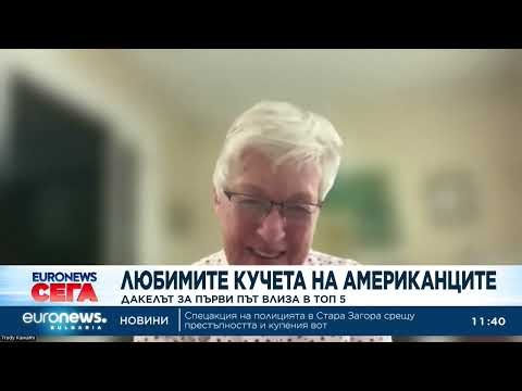 Video lyubimite kucheta amerikantsite dakelat 2026 новините от българия видео: видео: любимите кучета на американците: дакелът за първи път влиза в топ 5 2026 видео бургас българия новини,... Iustitia. Bg видео: любимите кучета на американците: дакелът за първи път влиза в топ 5 2026 2026-03-19 17:41:22 видео: любимите кучета на американците: дакелът за първи път влиза в топ 5 2026 информационна агенция за разследваща журналистика и разследващ репортаж бургас, българия