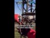 Видео: Мащабна кампания за спасяване на застрашени птици в България, РСМ и Турция #novinitenanova #птици Видео: Мащабна кампания за спасяване на застрашени птици в България, РСМ и Турция #novinitenanova #птици