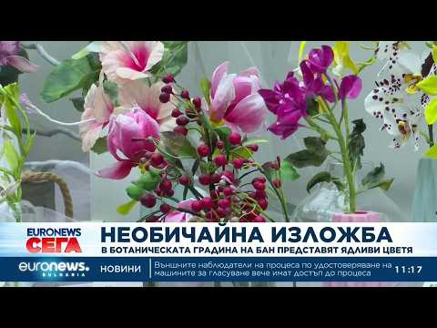Видео: Необичайна изложба: В Ботаническата градина на БАН представят ядливи цветя 2026