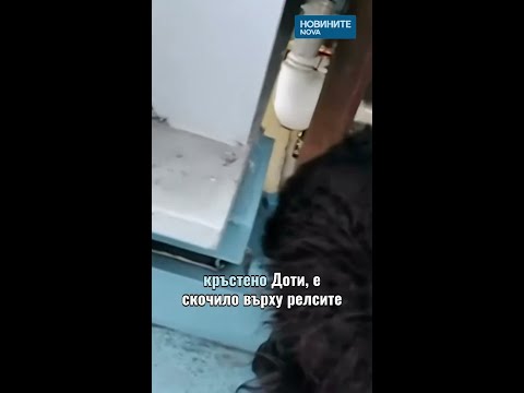 Видео: Спасиха куче, блокирано на 12-метрова жп платформа #novinitenanova #куче #сащ #спасение #жп #nova
