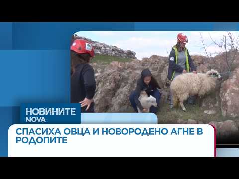 Видео: спасиха овца и новородено агне от пропаст в родопите #novinitenanova #родопи #овца #агне | 2026 новините от българия - bulgarianovinite. Com Video spasiha ovtsa novorodeno agne propast ro 1 2026 новините от българия видео: https://www. Youtube. Com/watch? V=j4auc4qpeky
в акцията участваха 19 доброволци още по темата тук:... Iustitia. Bg видео: спасиха овца и новородено агне от пропаст в родопите #novinitenanova #родопи #овца #агне 2026-03-18 09:03:31 видео: спасиха овца и новородено агне от пропаст в родопите #novinitenanova #родопи #овца #агне информационна агенция за разследваща журналистика и разследващ репортаж бургас, българия