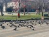 Времето – облачно с превалявания, максималните температури ще бъдат между 9° и 14° 2026 Времето – облачно с превалявания, максималните температури ще бъдат между 9° и 14° 2026