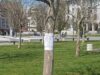 Започва първата за годината обработка срещу кърлежи и бълхи 2026 Започва първата за годината обработка срещу кърлежи и бълхи 2026