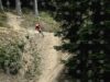 2026 UEC MTB Downhill European Championships Kick Off in Vitosha Mountain 2026 2026 UEC MTB Downhill European Championships Kick Off in Vitosha Mountain 2026