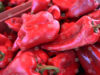 Bulgarian Food Safety Agency Returns 11.6 Tonnes of Peppers to North Macedonia After Pesticide Detection 2026 Bulgarian Food Safety Agency Returns 11.6 Tonnes of Peppers to North Macedonia After Pesticide Detection 2026