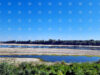 Danube Level Rises Along Almost Entire Bulgarian Stretch 2026 Danube Level Rises Along Almost Entire Bulgarian Stretch 2026