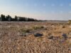 Environment and Water Ministry Steps up Danube River Monitoring Amid Persistently Low Water Levels 2026 Environment and Water Ministry Steps up Danube River Monitoring Amid Persistently Low Water Levels 2026