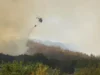 Огромен пожар в Белгия се разраства към границата с Германия 2026 Огромен пожар в Белгия се разраства към границата с Германия 2026