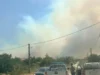 Пожарът в Хасковско: 13-годишен запалил сухи треви, „за да види какво ще стане“ 2026 Пожарът в Хасковско: 13-годишен запалил сухи треви, „за да види какво ще стане“ 2026