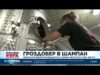 Видео: Гроздобер в Шампан: Френските винопроизводители събират реколтата през август 2026 Видео: Гроздобер в Шампан: Френските винопроизводители събират реколтата през август 2026