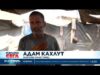 Видео: 10 месеца след примирието продължава хуманитарната криза в Газа 2026 Видео: 10 месеца след примирието продължава хуманитарната криза в Газа 2026