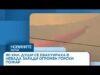 Видео: Огромен горски пожар принуди 90 000 души да се евакуират в Невада | 24 авг. 2026 Видео: Огромен горски пожар принуди 90 000 души да се евакуират в Невада | 24 авг. 2026