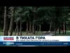 Видео: В тихата гора: Все повече хора преосмислят летните си почивки 2026 Видео: В тихата гора: Все повече хора преосмислят летните си почивки 2026