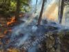 Бърза реакция на пожарникари и доброволци спря пожар в гората над Драгиново 2026 Бърза реакция на пожарникари и доброволци спря пожар в гората над Драгиново 2026